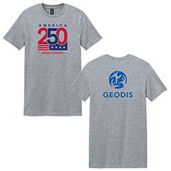 Usa 250 Softstyle T-Shirt